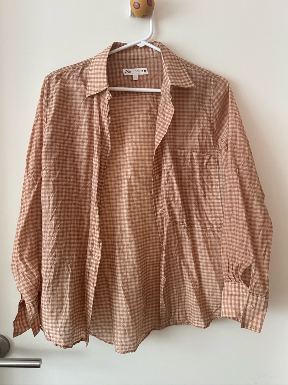 Zara Checked Button-Down Shirt in Blush and Cream